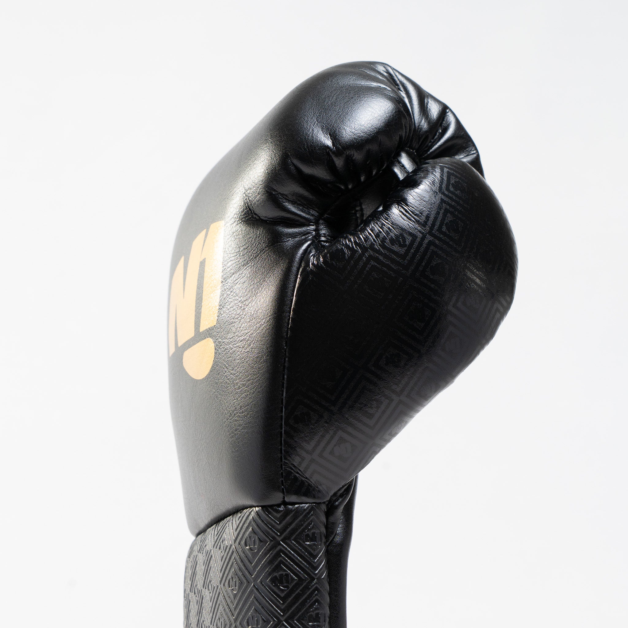 PRO Boxhandschuhe Horse Hair Schnürung