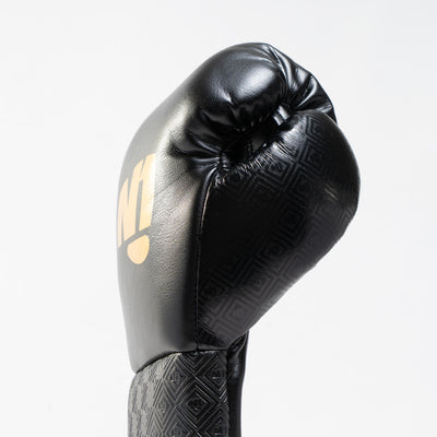 PRO Boxhandschuhe Horse Hair Schnürung